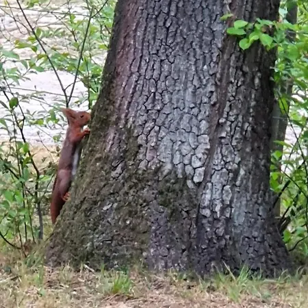 펜션 Familiehuis De Spar 오털로