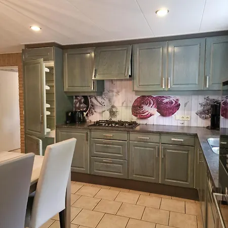 度假居 Familiehuis De Spar 欧特罗