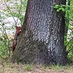 Semesterbostad Familiehuis De Spar Otterlo