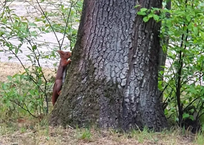Semesterbostad Familiehuis De Spar Otterlo